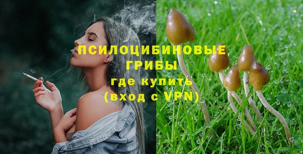индика Балабаново