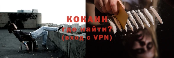 мяу мяу мука Аркадак