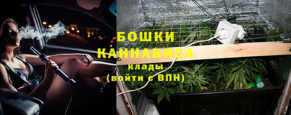 индика Балабаново