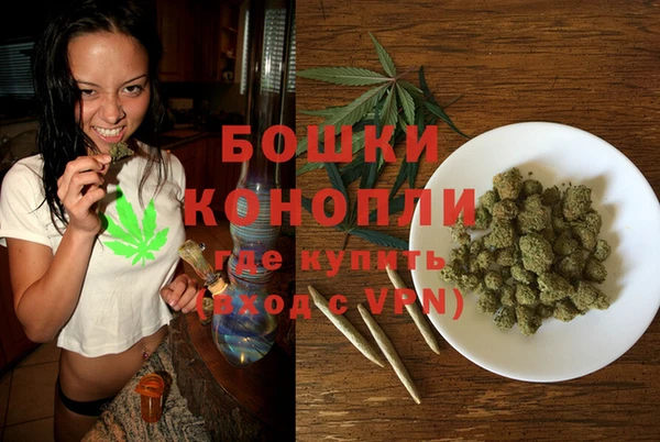 мдпв Тобольск