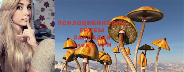 мяу мяу мука Аркадак