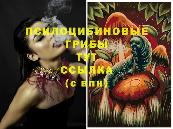 прущая мука Арсеньев