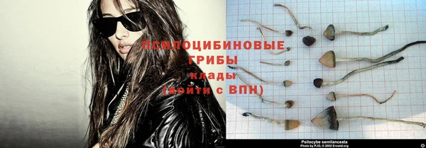 мяу мяу мука Аркадак