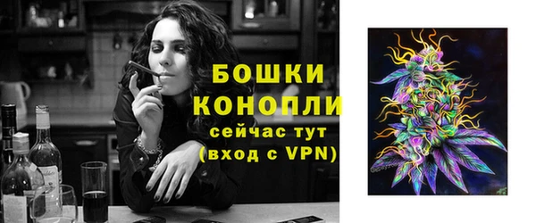 индика Балабаново