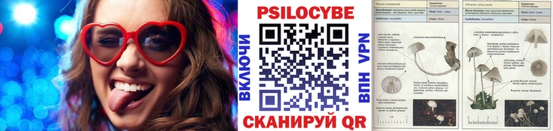 Галлюциногенные грибы Magic Shrooms  мега маркетплейс  Сыктывкар 
